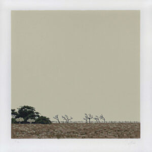 <b>Enrique Cattaneo </b> <br>  Veracruz <br>40x40 cm<br>