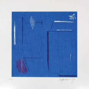 <b>Albert Rafols Casamada </b> <br>  Secretos marinos II <br>36x36 cm<br>