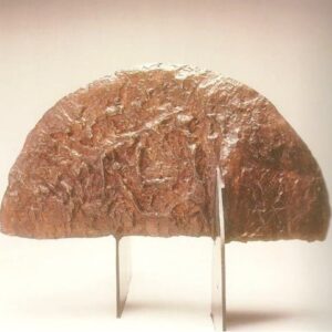 <b>Alberto Castro Leñero </b> <br>  Aleta <br>55x24x12 cm<br>