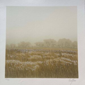 <b>Enrique Cattaneo </b> <br>  Campo de algodón <br>30x22 cm<br>