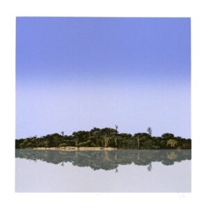 <b>Enrique Cattaneo </b> <br>  El río 1 <br>56x56 cm<br>
