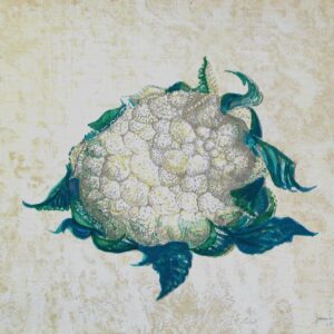 <b>Luis García Guerrero </b> <br>  Coliflor <br>35x45.5 cm<br>